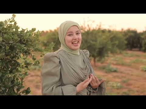 غنى يا طيرى غنى يا فرحة العوالم فرقة أبو آلخير للأنشاد الديني