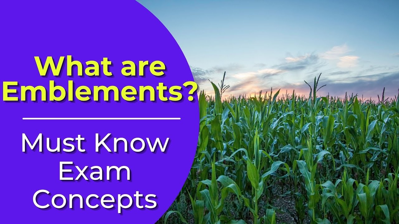 Emblements What Are They Real Estate License Exam Questions YouTube Emblements What Are They Real Estate License Exam Questions YouTube