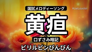 黄疸・ビリルビン｜歌で覚える国家試験対策【歌詞付き】KoeLeader