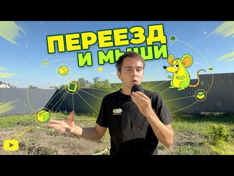 Мыши под потолком: Идеальная сеть жилья, общие приборы и централизованные склады