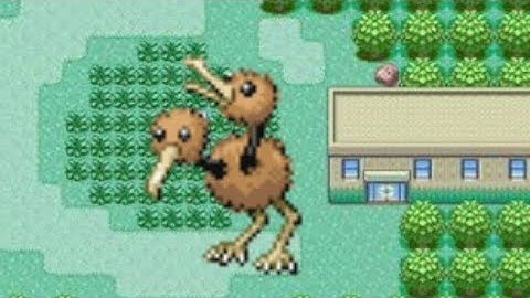 Where To Find Doduo in Pokemon Emerald