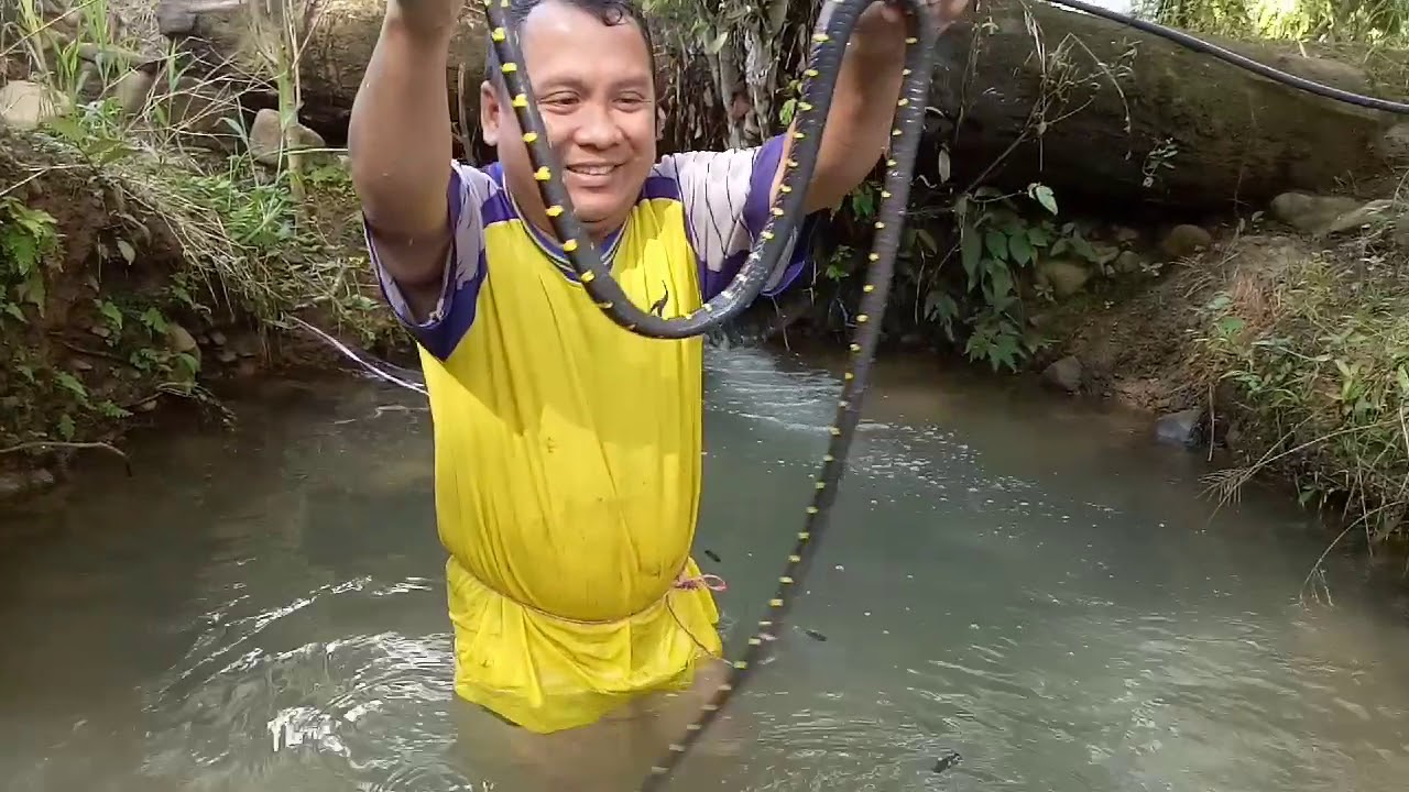 Ular uning singan mushuk bir joja sikish