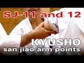 KYUSHO/DIM MAK Ellbogen- und Schulterkontrolle mit San Jiao 11/12  - Seminar "Kyusho..." Berlin 2016