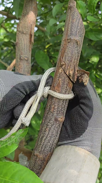 Smart Rope Knot for Tough Jobs #tricks #knot #tips