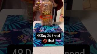 Bread That Refuses to Mold – 48 Days and Counting🍞🤔#processedfoods #preservatives #foodfacts #diy