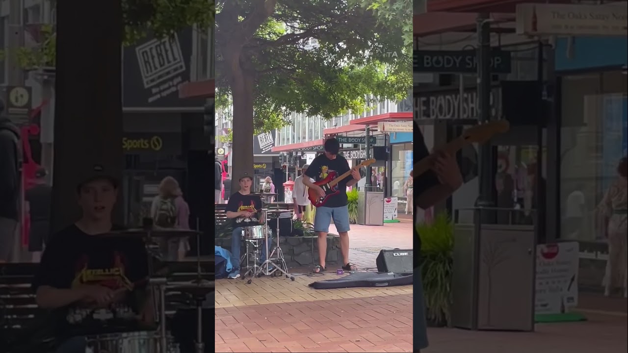 All The Small Things - blink-182 | Busking in Cuba Street 