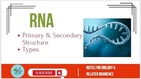 RNA secondary structure ||  Biology || Bioinformatics