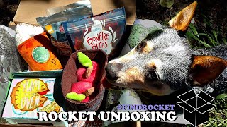 Dog's Unboxing Adventure with Orchard Toys by FindRocket 52 views 2 years ago 2 minutes, 42 seconds