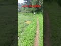 #beautifulහපුවිද  #1000subscriber