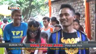 SINTREN - Burok TPJ
