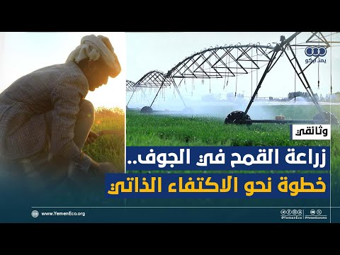وثائقي زراعة القمح في محافظة الجوف هل يتجه اليمن نحو الاكتفاء الذاتي