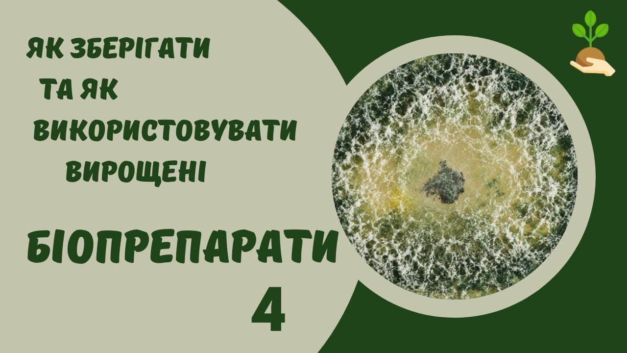 Як зберігати та використовувати домашні біопрепарати для захисту рослин