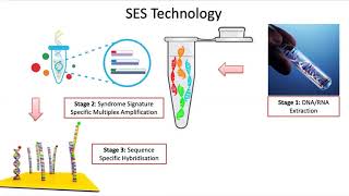 Webinar on application of Syndrome Evaluation System (SES) in CNS infections