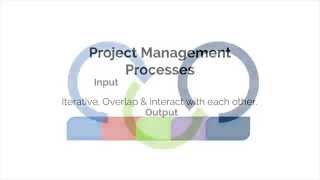 PMBOK C1 M2 Organization Structure