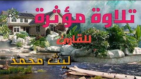 تلاوة مؤثرة | سورة الحاقة | #ليث_محمد  #قران_كريم  #تلاوة_خاشعة
