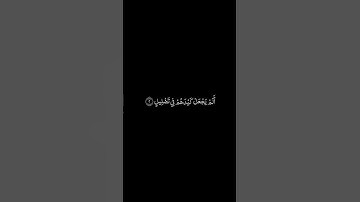 سورة الفيل شاشة سوداء للشيخ محمد صديق المنشاوي ❤️❤️