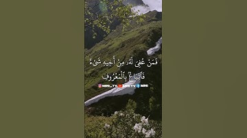 ماهر المعيقلي - سورة البقرة ( برواية حفص عن عاصم ) الأية 178 - 179
