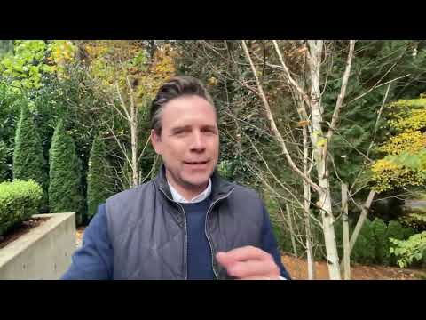 November Market Update 2025