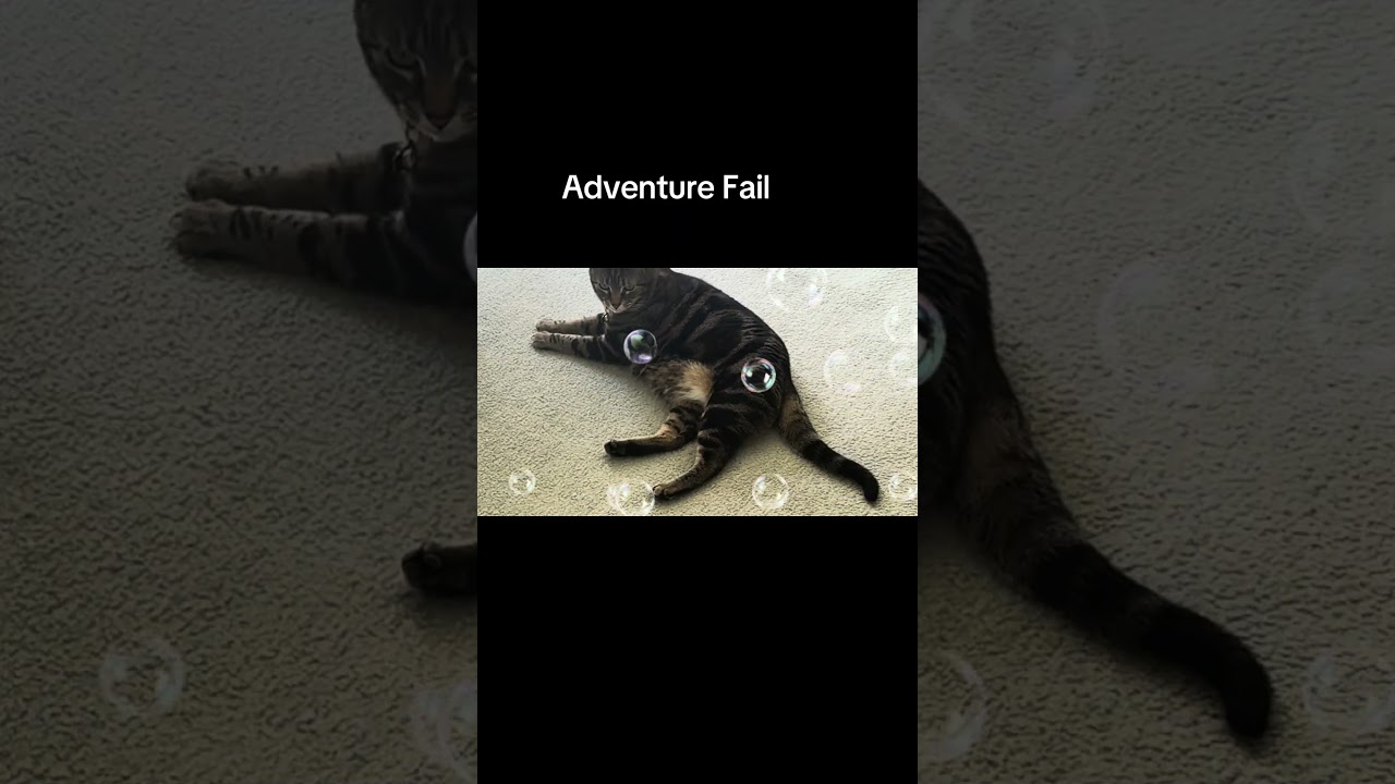 Adventure Fail 