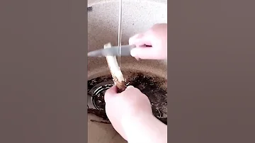 🌱Как заготовить корень лопуха.
