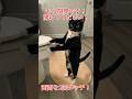 もう限界です！開けてください！