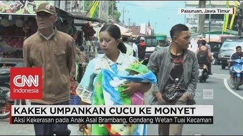 Kakek Umpankan Cucu ke Monyet Terancam Hukuman 3 Tahun Penjara