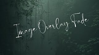 Image overlay fade | learn html css | beginners tutorial