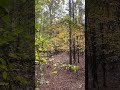 Working hard to be able to keep doing this! #deerseason #woods #whitetail #deerhunting #hunting
