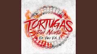 Video thumbnail of "Tortugas del norte - Pista secreta"