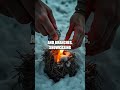 Unraveling Survival Stories: The Art of Fire and Shelter
