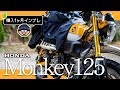 バイク免許とってすぐにモンキー125を買いました【Monkey125一ヶ月乗車レビュー】