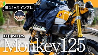 バイク免許とってすぐにモンキー125を買いました【Monkey125一ヶ月乗車レビュー】