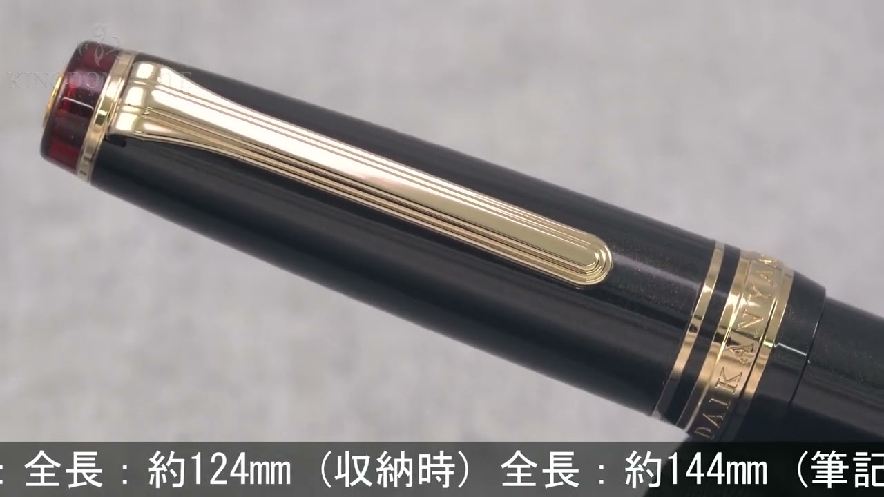 SAILOR セーラー 万年筆 フレンドシップペン プロフェッショナルギア