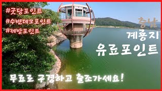 [리쌍'S취미저장소] 계룡저수지 배스낚시; 포인트 탐사&관찰 -루어낚시 5천원, 대낚시 1만원 #배스 #배스낚시 #계룡저수지