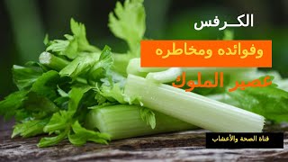 الكرفس | وفوائده ومخاطره عصير الملوك