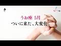 魚座さん、まさに人生の分岐点。変わります、とても。【魚座　5月の運勢】🌷タロット占い