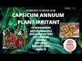Capsicum annuum | Plant irritant | UGC NET forensic science notes