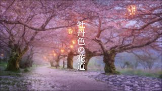 牡丹色の花道 / 東北きりたん