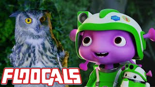 Floogals Build a Bird's Nest | Floogals | Universal Kids by Universal Kids 53,641 views 10 months ago 4 minutes, 59 seconds
