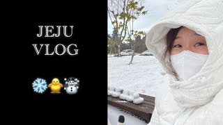 일상 vlog | 겨울왕국 12월 제주생활 | 중문 돌담 | 2023스타벅스 다이어리