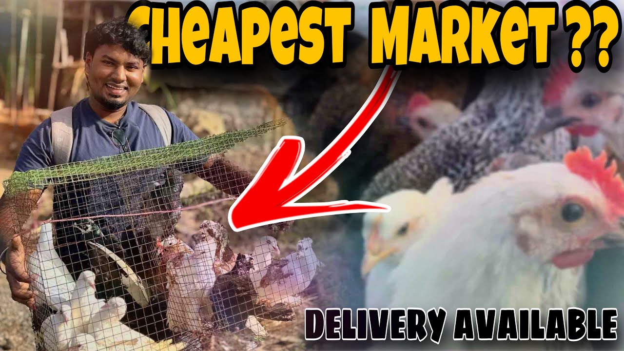 Cheapest Price💥🤩Vadalur Weekly Market | வடலூர் வாரச்சந்தை ✨#vadalur #pets #cuddalore #neyveli