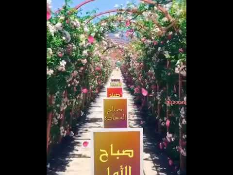 أحلى صباح