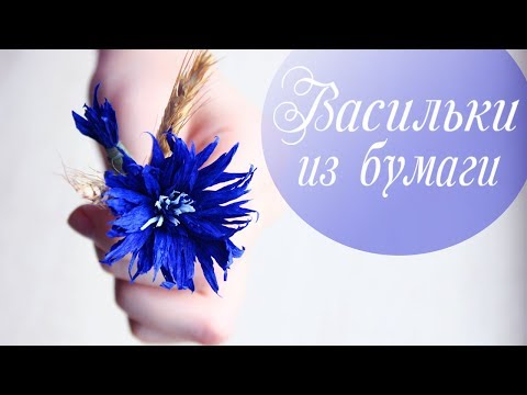 Video: Cornflower көк