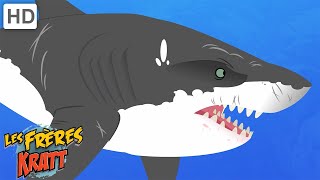 Les requins et autres créatures marines [épisodes complets] Les Frères Kratt