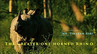 नेपालमा ठूलो एकसिङ्गे गैंडा || The Greater one-horned Rhino in Nepal 4K