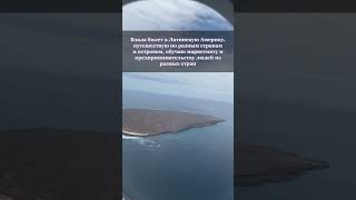 Работа в офисе или свой бизнес и путешествие по миру