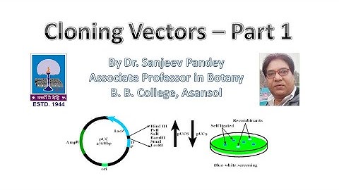 Cloning Vectors - Part 1 (Online Class Video)