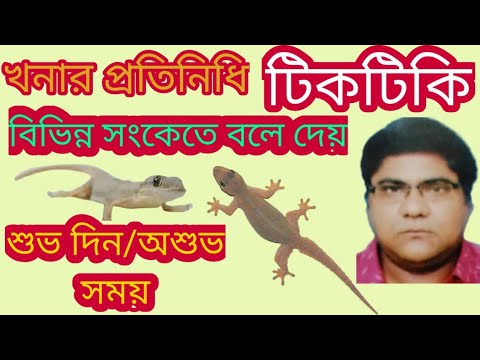 ভিডিও: কিভাবে টিকটিকি বংশবৃদ্ধি করতে হয়