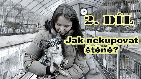2. DÍL - JAK NEKUPOVAT ŠTĚNĚ - UNÁHLENÁ KOUPĚ