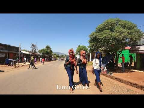Limu Genet Jimma Ethiopia